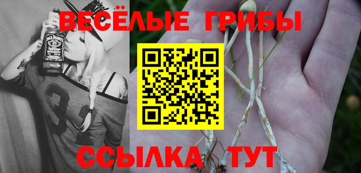 Псилоцибиновые грибы ЛСД  Вход с VPN  Бутурлиновка 